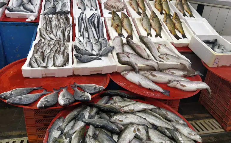 Konyalı vatandaşlar balık için sıraya girdi: Hafta sonu akına uğradı