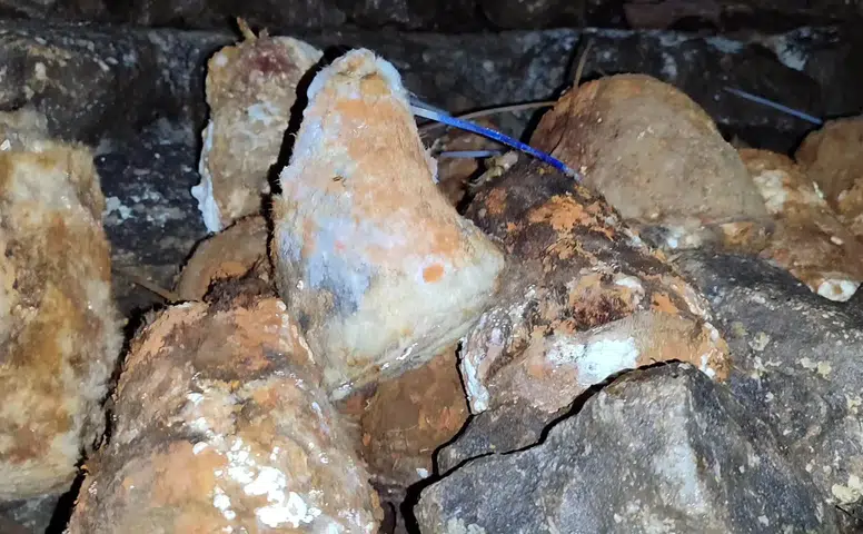 Konya'nın şifa deposu peynirleri olgunlaşıyor: Gökçeyurt'ta telaş var