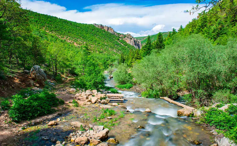 Konya'daki şelale eski günlerini arıyor: Aygır en dibi gördü
