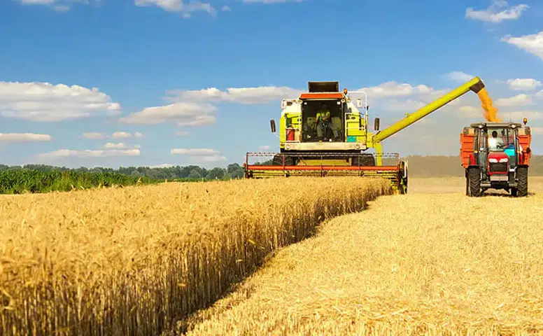 Gıda krizi: Konya'da tarımsal üretimi canlandırmak için üçlü senaryo