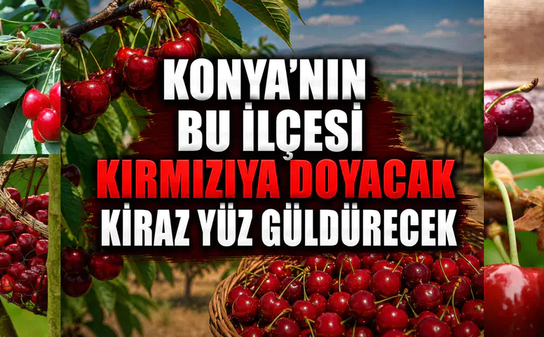 Konya’nın bu ilçesi kırmızıya doyacak: Kiraz yüz güldürecek