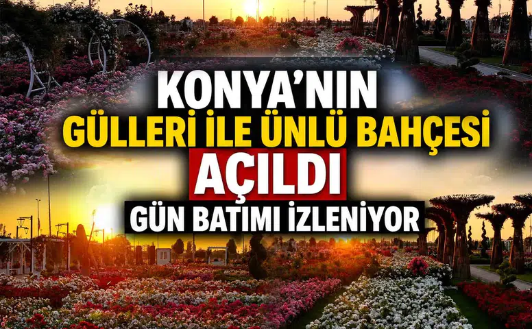 Konya'nın gülleri ile ünlü bahçesi açıldı: Gün batımını izletiyor