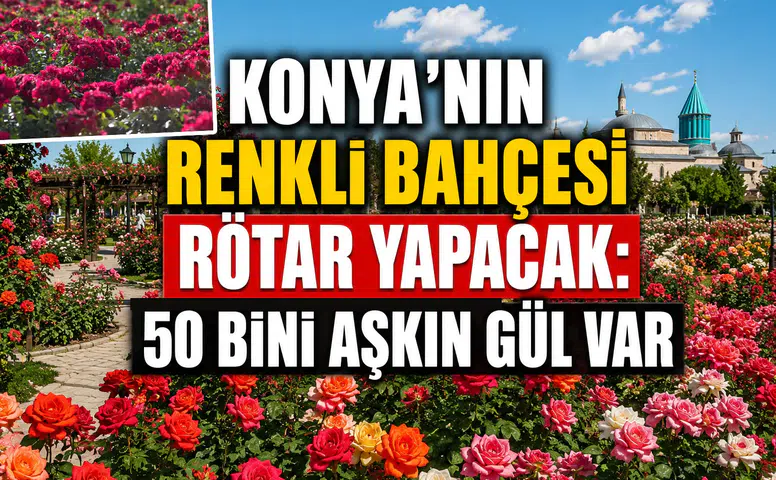 Konya'nın renkli bahçesi rötar yapacak: Binlerce gül hazırlanıyor