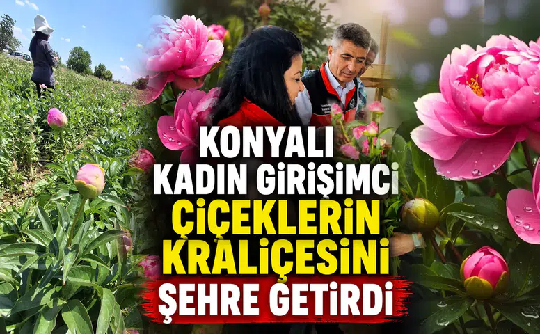 Konyalı kadın girişimci çiçeklerin kraliçesini şehre getirdi