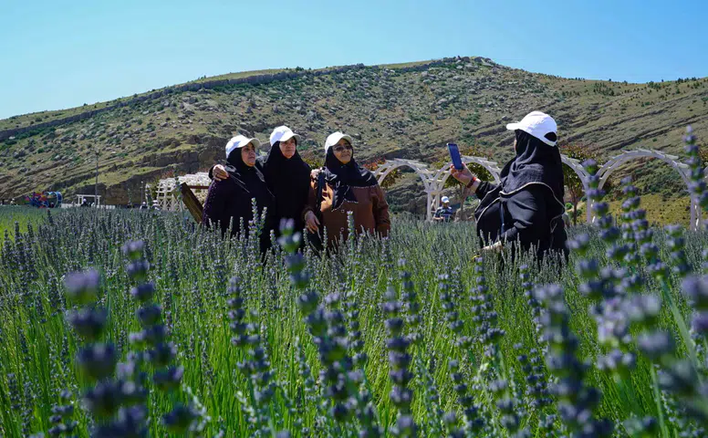 Emekli şehri Konya: Şehrin hafızası olan çınarlar baş tacı