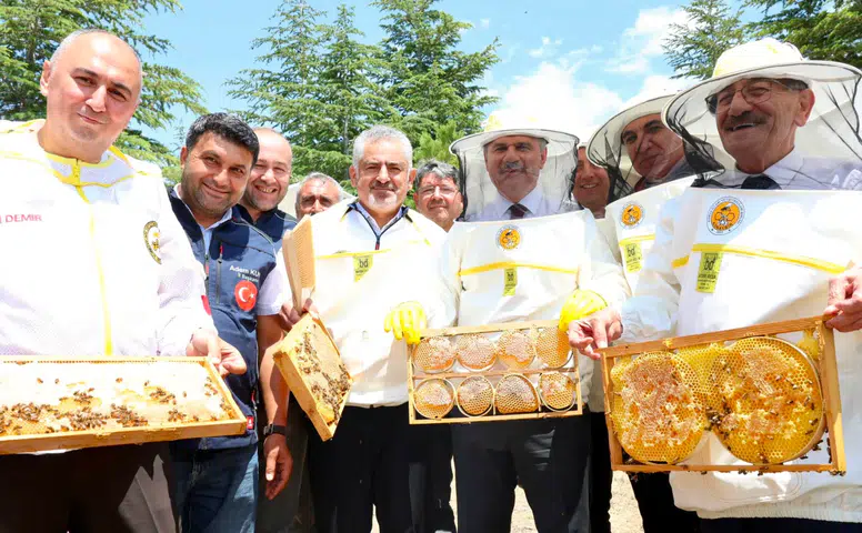Konya'da en tatlı hasat: 127 bin arı kolonisi bal üretiyor