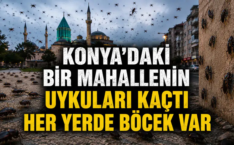 Konya’daki bir mahallenin uykuları kaçtı: Her yerde böcek var