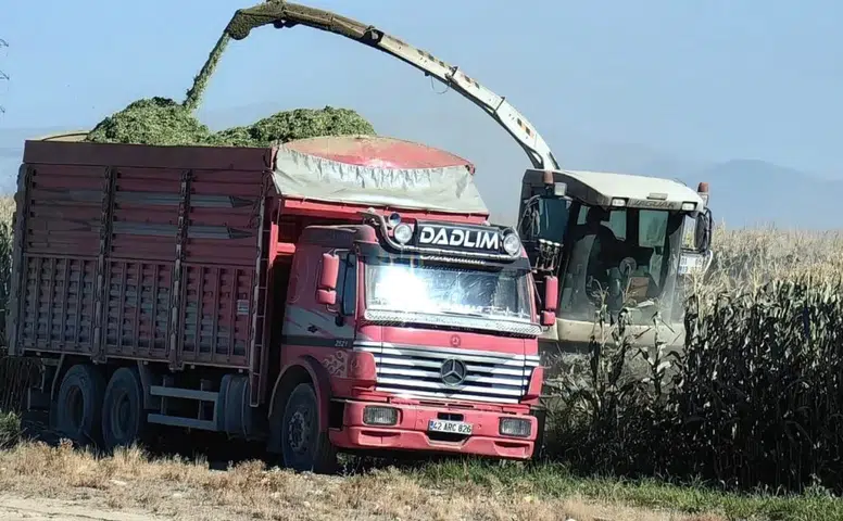 Mısırda maliyet-fiyat makası açılıyor: Konyalı üretici TMO'yu bekliyor