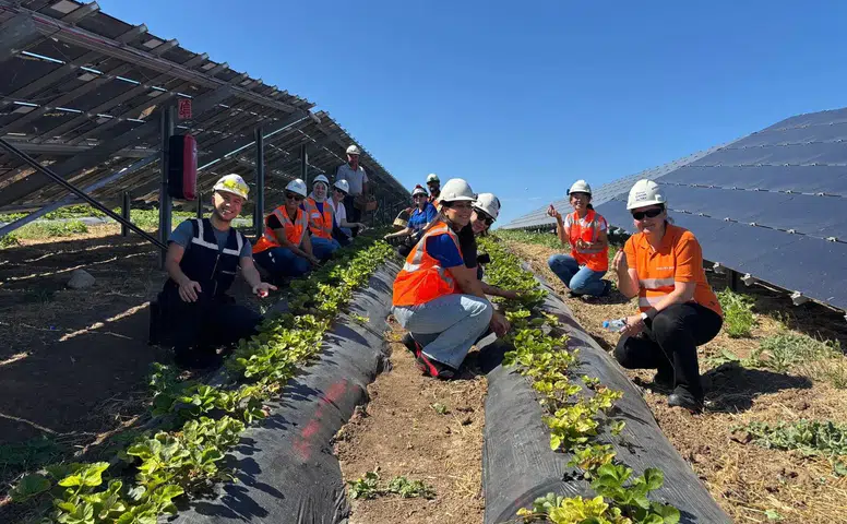 Türkiye'de tarımın geleceğini "agrivoltaik" tarımla Konya belirliyor