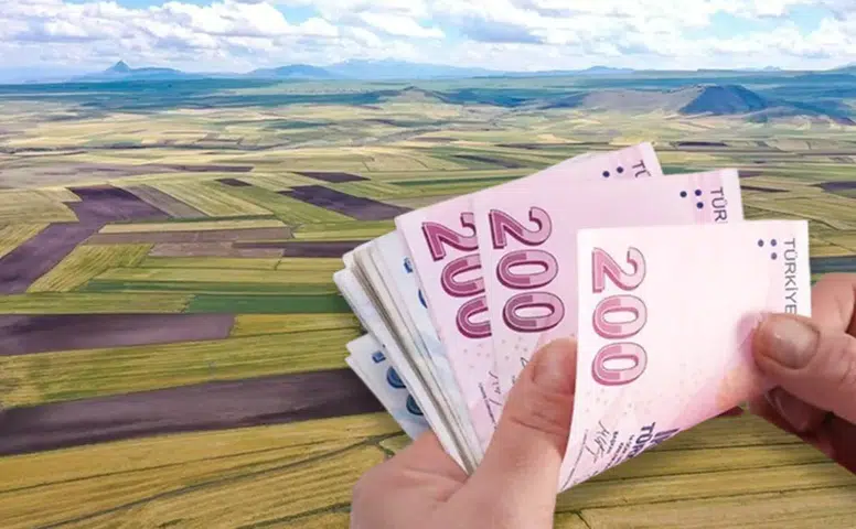Yeni yatırımın adı arsa: Yatırımcı rotasını değerli toprağa çevirdi