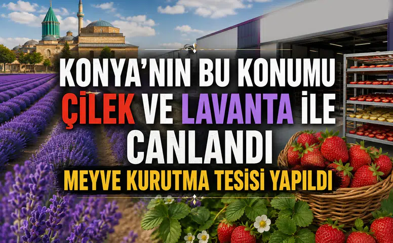 Konya'nın yeşil ilçesi çilek ve lavanta ile canlandı: Üretime büyük destek