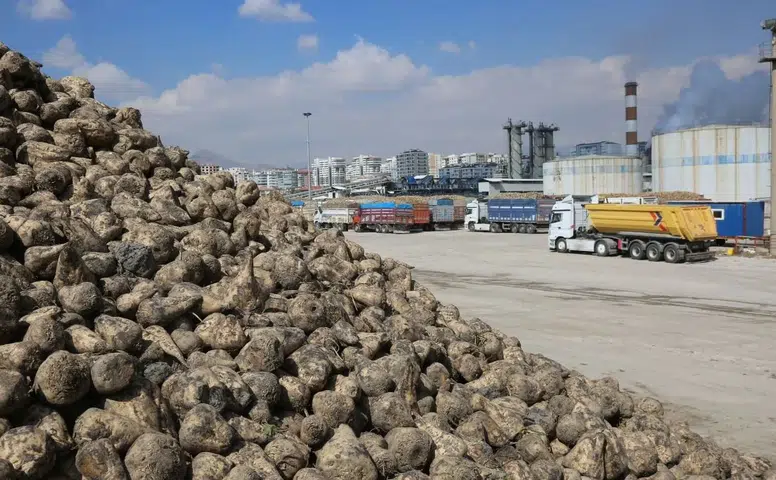 Konya'da üreticinin emeği korunacak: Başkan'dan pancar açıklaması