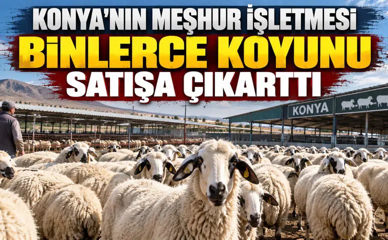 Konya'nın meşhur işletmesi binlerce koyunu satışa çıkarttı