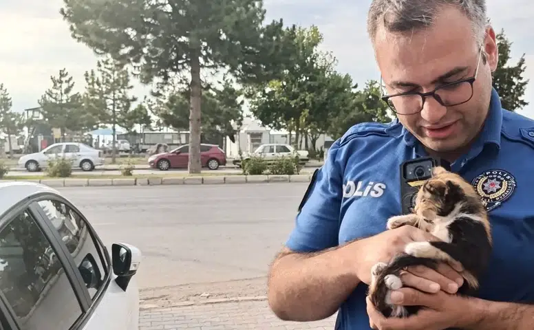 Konya'da polis ve bekçi yavru kedi için seferber oldu