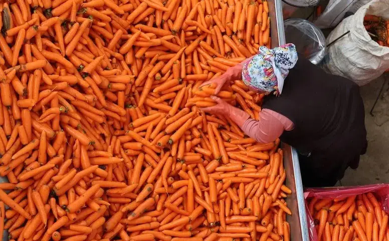 Konya’nın havucu ile meşhur mahallesinin planı değişti