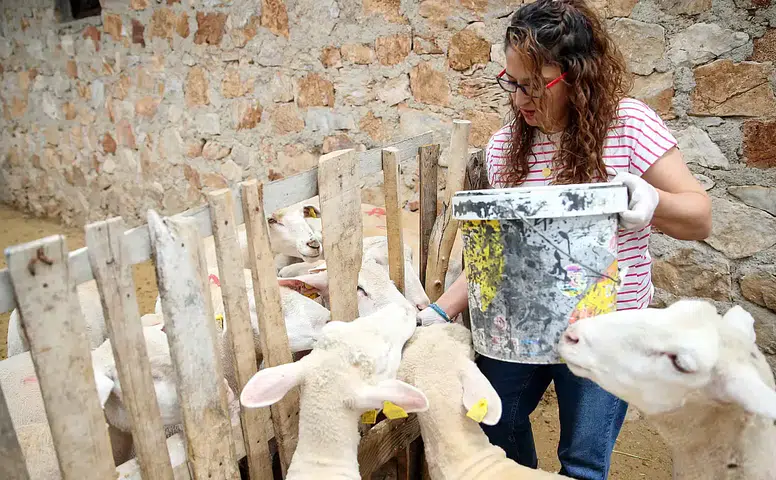 Konya'da kadınlar köye dönüyor: Hem ev kadını hem çiftlik sahibiler