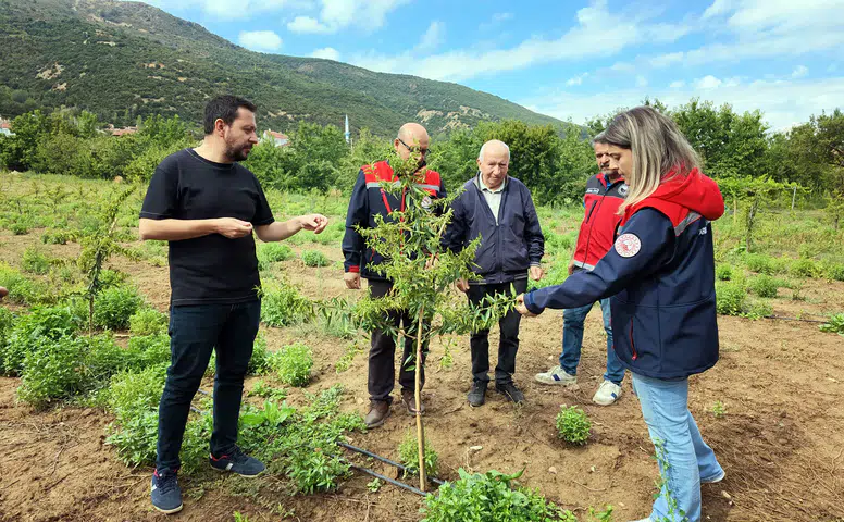 Konya'nın yeni ürünleri yetişiyor: Ferragnes, Ferraduel ve Makako..