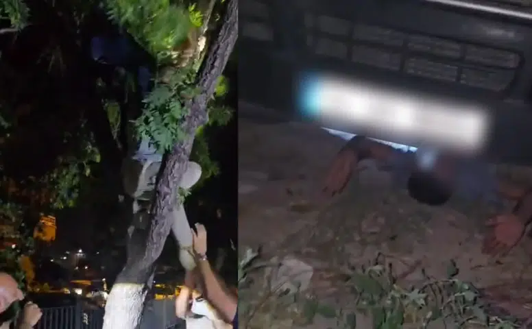 Konya'da arananların yakalandıkları yerler pes dedirtti: Ağaçta yakalandı