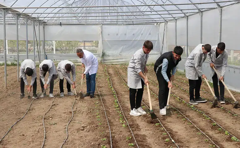 Konya'da kısa vadede yüksek kazanç getiren işler belirlendi