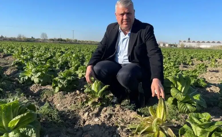 Konya'yı don vuracak mı: İkinci soğuk hava dalgası için tarih verildi