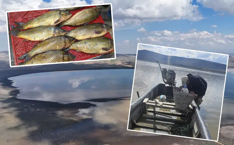 Konya'nın meşhur balığı için 5 yıl beklenecek: Göl su tutuyor
