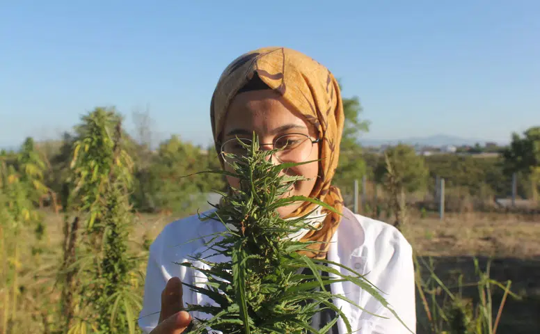 Konya'nın yasağı kalkmıştı: Üretimde yeni lider olması bekleniyor