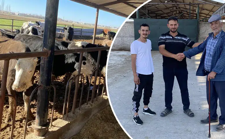 Konya'da kurbanlıklar görücüye çıkıyor: Meşhur çiftlik fiyatı duyurdu