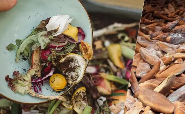 6 milyon ekmek, 30 milyon sebze meyve: Çöpe giden 200 milyar lira