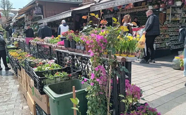 Saksıda domates, biber, salatalık yetişir mi: Baharla birlikte vatandaş fidecilerde