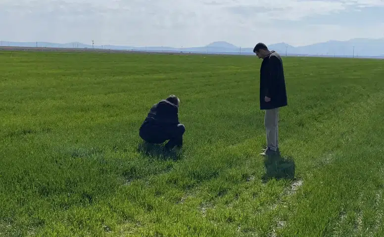 Konyalı çiftçinin rekor beklentisi: Yağışlar umutlandırıyor