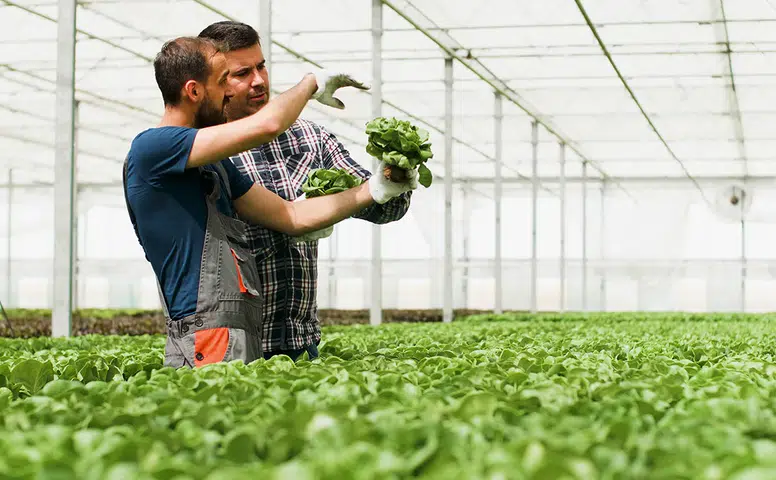 Konya'nın 19 milyon dekarlık gücü var: 50 Milyar liralık üretim