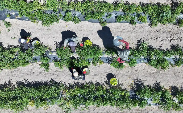 Konyalı vatandaşlar bu seti ücretsiz alıyor: 12 farklı ürün dağıtılıyor