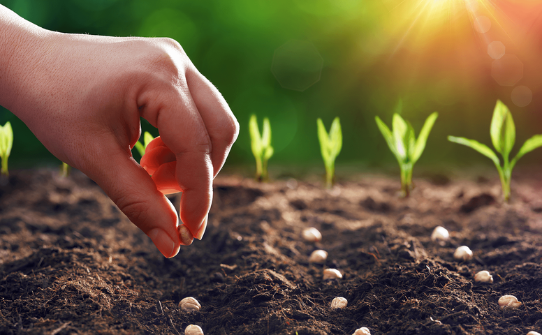 Konya'da pancar ekenler kazandı şeker üreticileri kaybetti