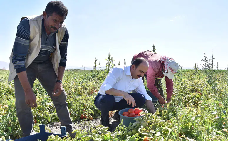 Konya üretimde zirveye yerleşti: Çiftçilere büyük destek sağlandı