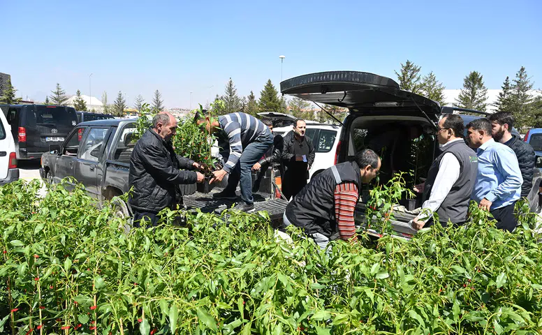 Konyalı çiftçilere meyve fidanı desteği: Antep fıstığı, cennet hurması..