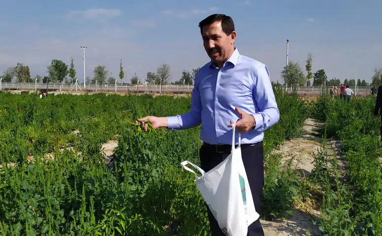 Konya’da 25 bin kişiye ücretsiz dağıtılacak: Başvuru zamanı