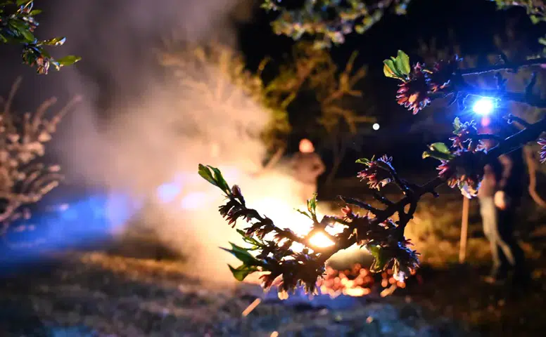 Çiftçinin derdi büyük: Sıfırın altında zirai don nöbeti