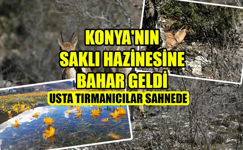 Konya'nın saklı hazinesine bahar geldi: Usta tırmanıcılar sahnede