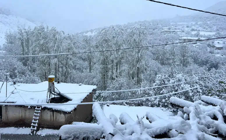 Konya'nın bu ilçesi buz kesti: Kar ve don etkili oldu