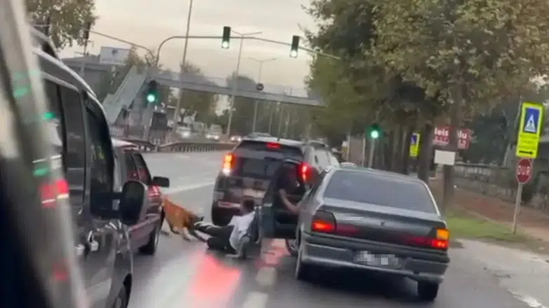 Zincirini koparan köpek böyle saldırdı
