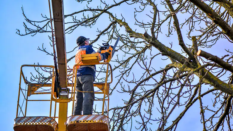 Konya'da bu mesleği yapanlar günlük 4 bin TL kazanıyor