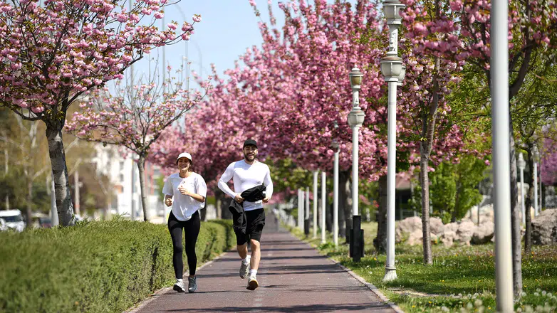 Konya'nın Sakuraları çiçek açtı: Vatandaşlar Japonya esintisi yaşıyor