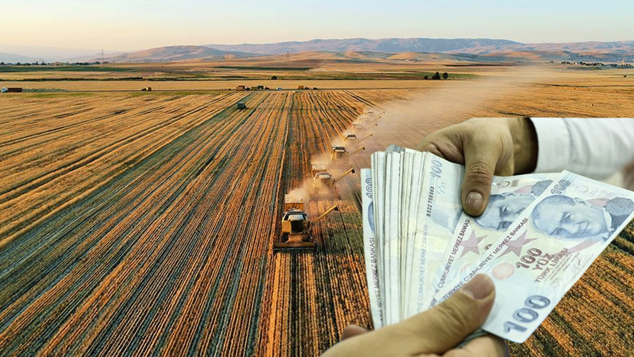 Konyalı çiftçiler mısır, buğday ve arpayı ne kadara satıyor? İşte en yüksek fiyat