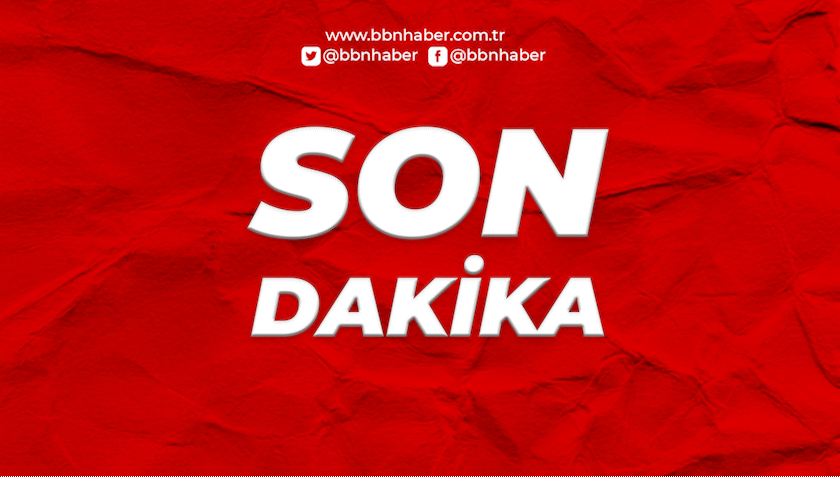 Orman yangınları: 2 şehir afet bölgesi ilan edildi