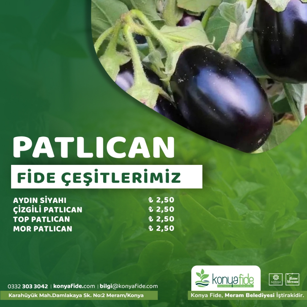 patlican-fideleri.jpg