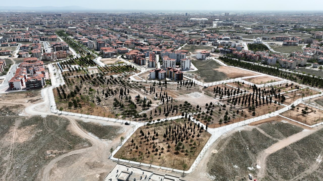 yelda-park-10.jpg