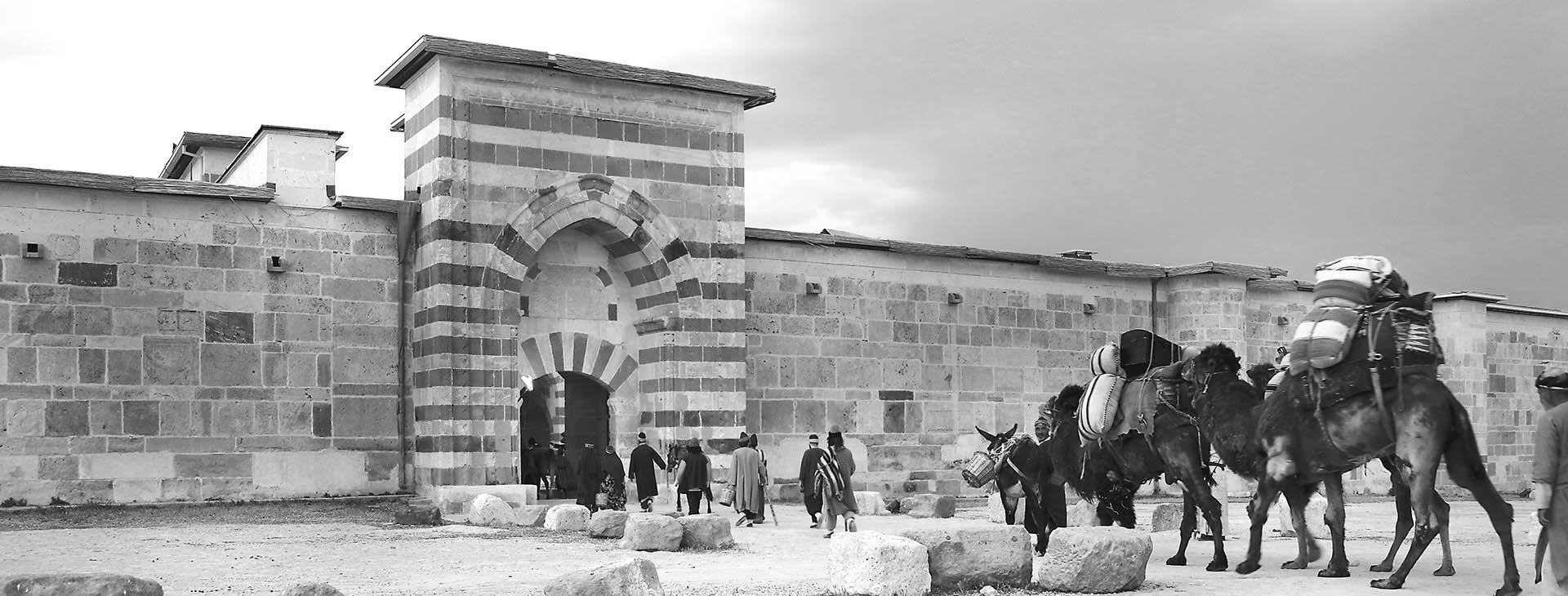 zazadin-hani-s-3.jpg