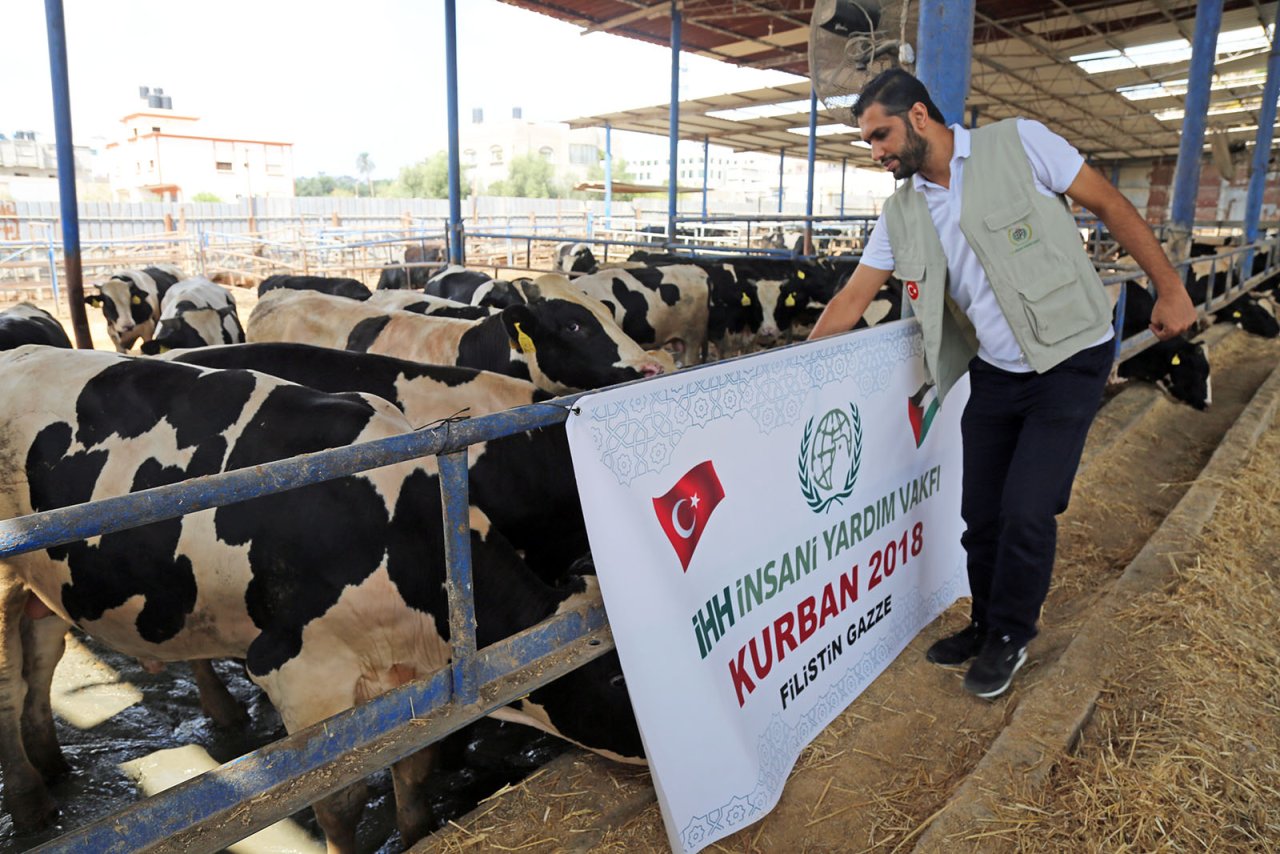 kurban-3.jpg