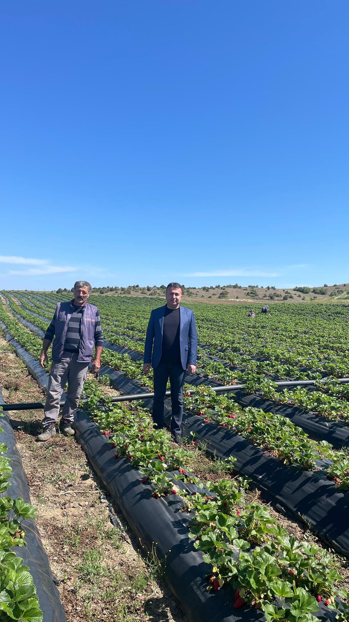 lcelerde-hasat-basladi-ureticiler-ziyaret-ediliyor-4.jpg