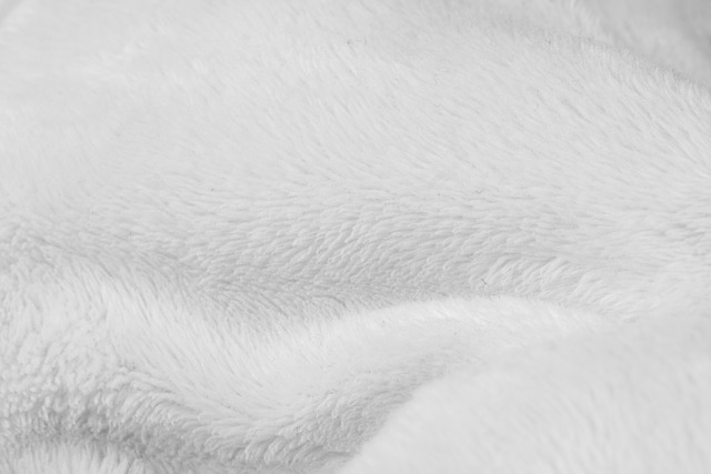 white-2723481-640.jpg
